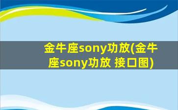 金牛座sony功放(金牛座sony功放 接口图)